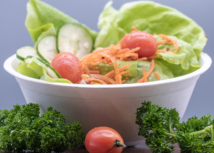 SALAD BOWL DESCARTABLE